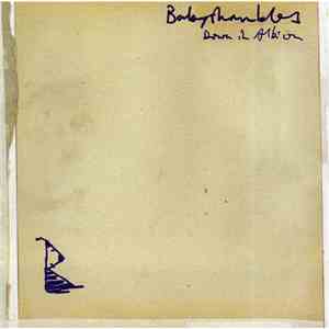 Babyshambles - Down In Albion