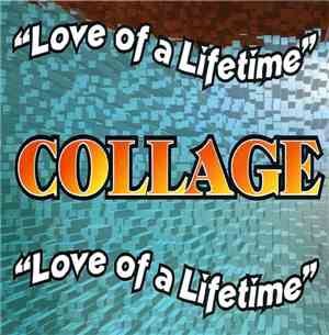 Collage  - Love Of A Lifetime