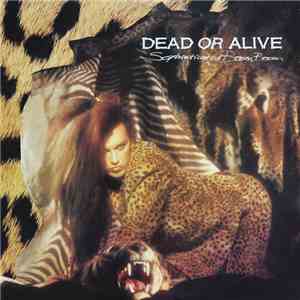 Dead Or Alive - Sophisticated Boom Boom