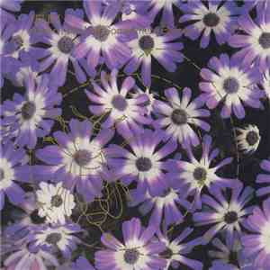 Telex - Haven't We Met Somewhere Before?