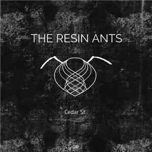 The Resin Ants - Cedar St