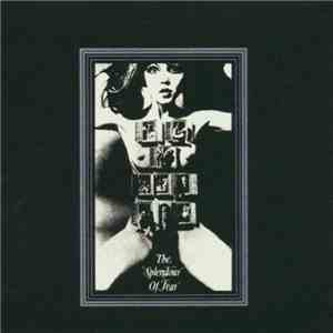 Felt - The Splendour Of Fear