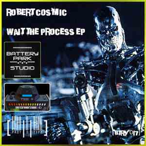 Robert Cosmic - Wait The Process EP