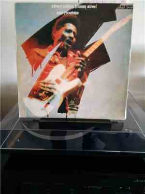 Albert Collins - Frozen Alive ! And Frostbite