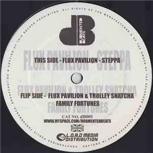 Flux Pavilion & Trolley Snatcha - Family Fortunes