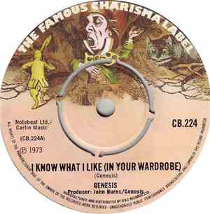 Genesis - I Know What I Like (In Your Wardrobe)
