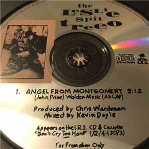 The Leslie Spit Treeo - Angel From Montgomery