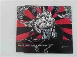 Okkervil River - Black Sheep Boy & Appendix