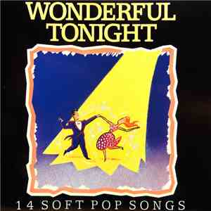 Various - Wonderful Tonight - 14 Soft Pop Songs