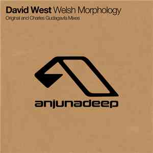 David West - Welsh Morphology