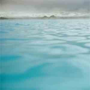 Harlowe  - The Swell