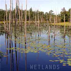 Jack Hertz - Wetlands
