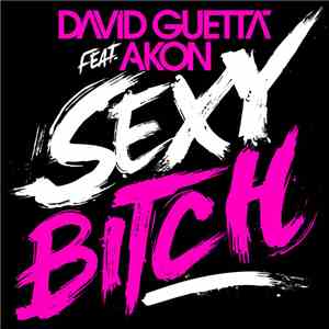 David Guetta Feat. Akon - Sexy Bitch