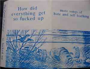 The Cat's Miaow - How Did Everything Get So Fucked Up