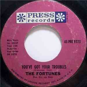 The Fortunes - You've Got Your Troubles