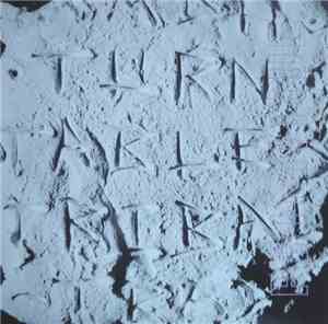 Turn Table Tribal Tracks - Primitive