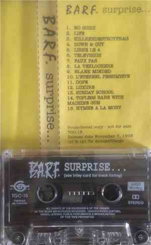 Blasting All Rotten Fuckers - Surprise...