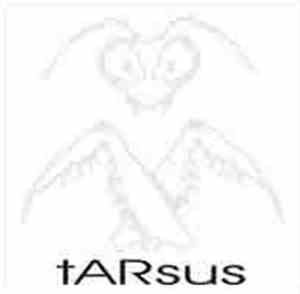 Tarsus - Chitine Power