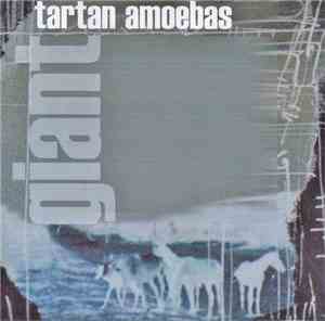 Tartan Amoebas - Giant