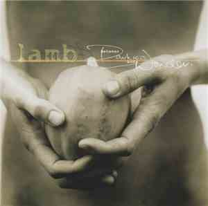 Lamb - Between Darkness And Wonder