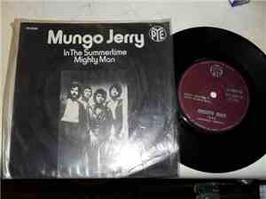 Mungo Jerry - In The Summertime