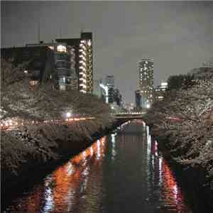World Listener - 東京バイト - Tokyo Bytes