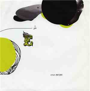 Estuar - Did I Fall