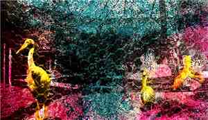 Noveller - Beneath The Basin