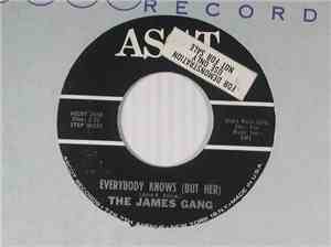 The James Gang  - Everybody Knows (But Her) / Ladies Man