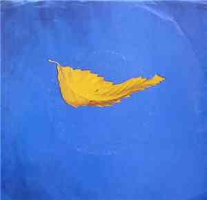 New Order - True Faith