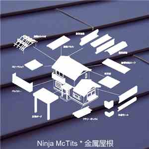 Ninja McTits - 金属屋根