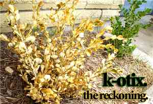K-OTIX - The Reckoning