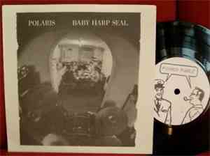 Polaris  / Baby Harp Seal - Polaris / Baby Harp Seal