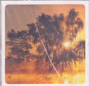 Various - Silent Memories