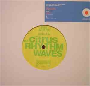 Papas Fritas / Citrus  - Trattoria 7inch Split Single Series No. 3