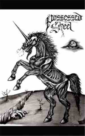 Possessed Steel - Possessed Steel