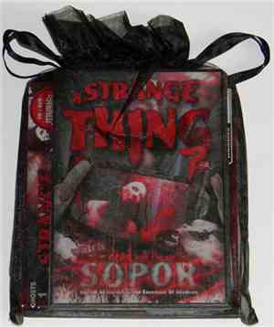 Sopor Aeternus & The Ensemble Of Shadows - A Strange Thing 2 Say (Collector ...