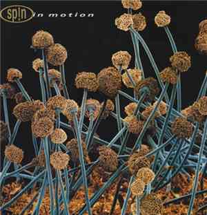 Sp!n - In Motion