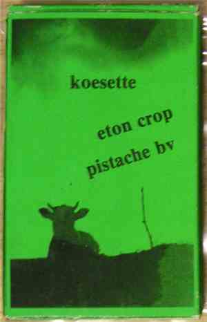 Eton Crop / Pistache BV - Koesette