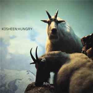Kosheen - Hungry (Jan Driver Remix)