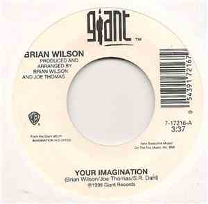 Brian Wilson - Your Imagination