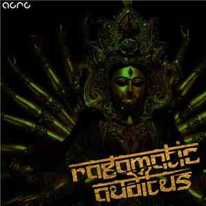 Ragamatic - Auditus