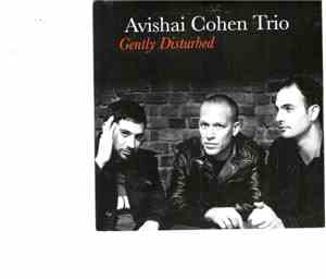 Avishai Cohen Trio - Gently Disturbed