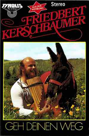 Friedbert Kerschbaumer - Geh Deinen Weg