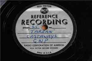 The Castaways  - Wild Boy