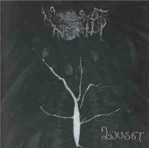 Woods Of Infinity - Ljuset