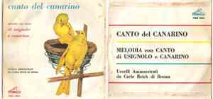 Carlo Reich Di Brema - Canto Del Canarino