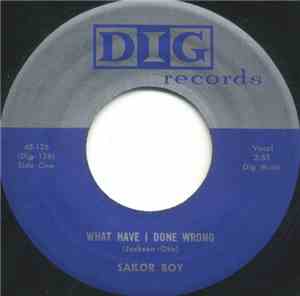 Sailor Boy - What Have I Done Wrong