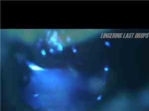 Lingering Last Drops - The Lingering Last Drops