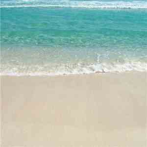 Shore Tea - Shore Tea